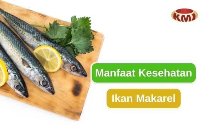 Inilah 9 Manfaat Kesehatan dari Memakan Ikan Makarel